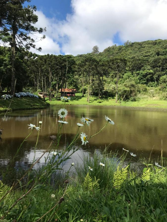 Green Mountains Hotel Monte Verde  Bagian luar foto
