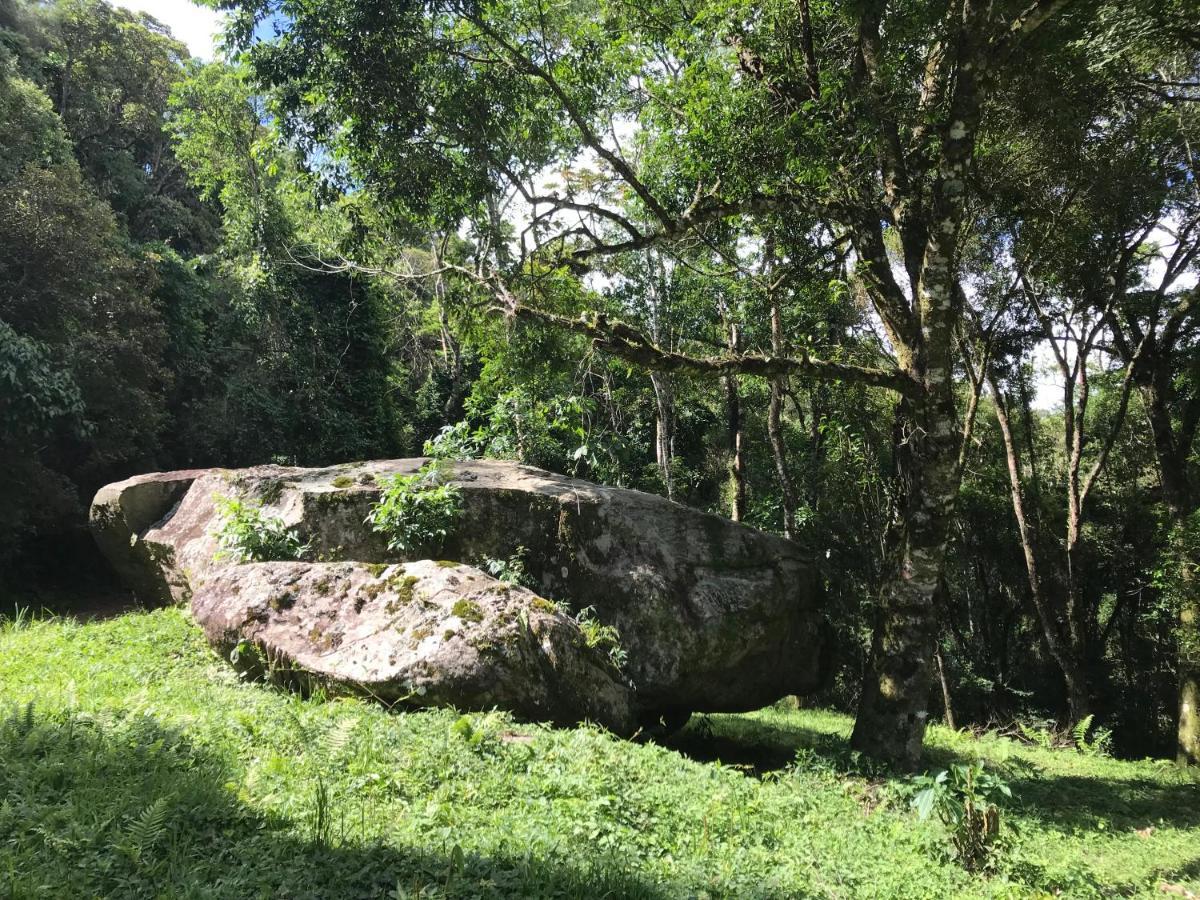 Green Mountains Hotel Monte Verde  Bagian luar foto