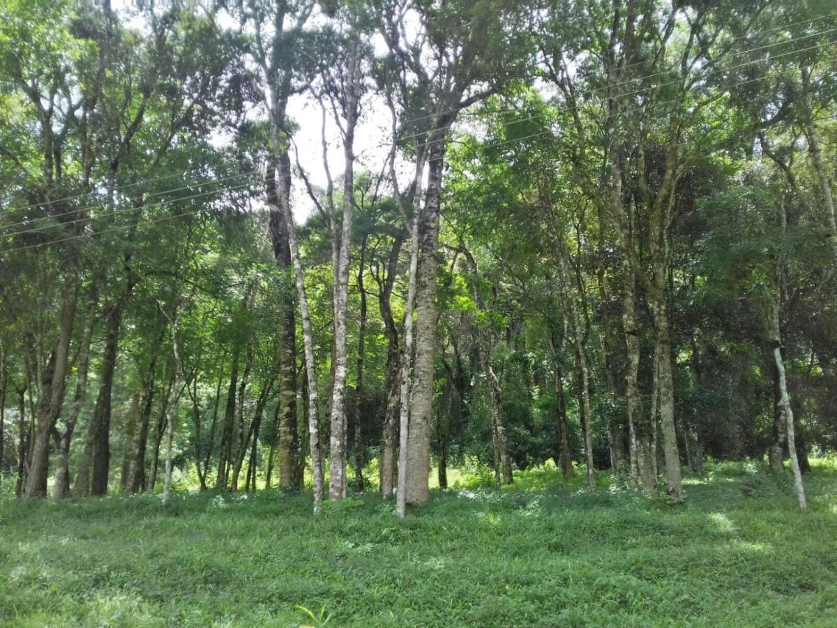 Green Mountains Hotel Monte Verde  Bagian luar foto