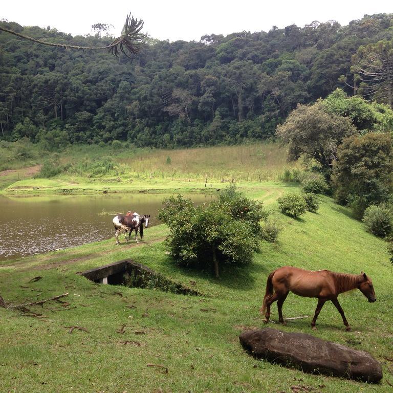 Green Mountains Hotel Monte Verde  Bagian luar foto