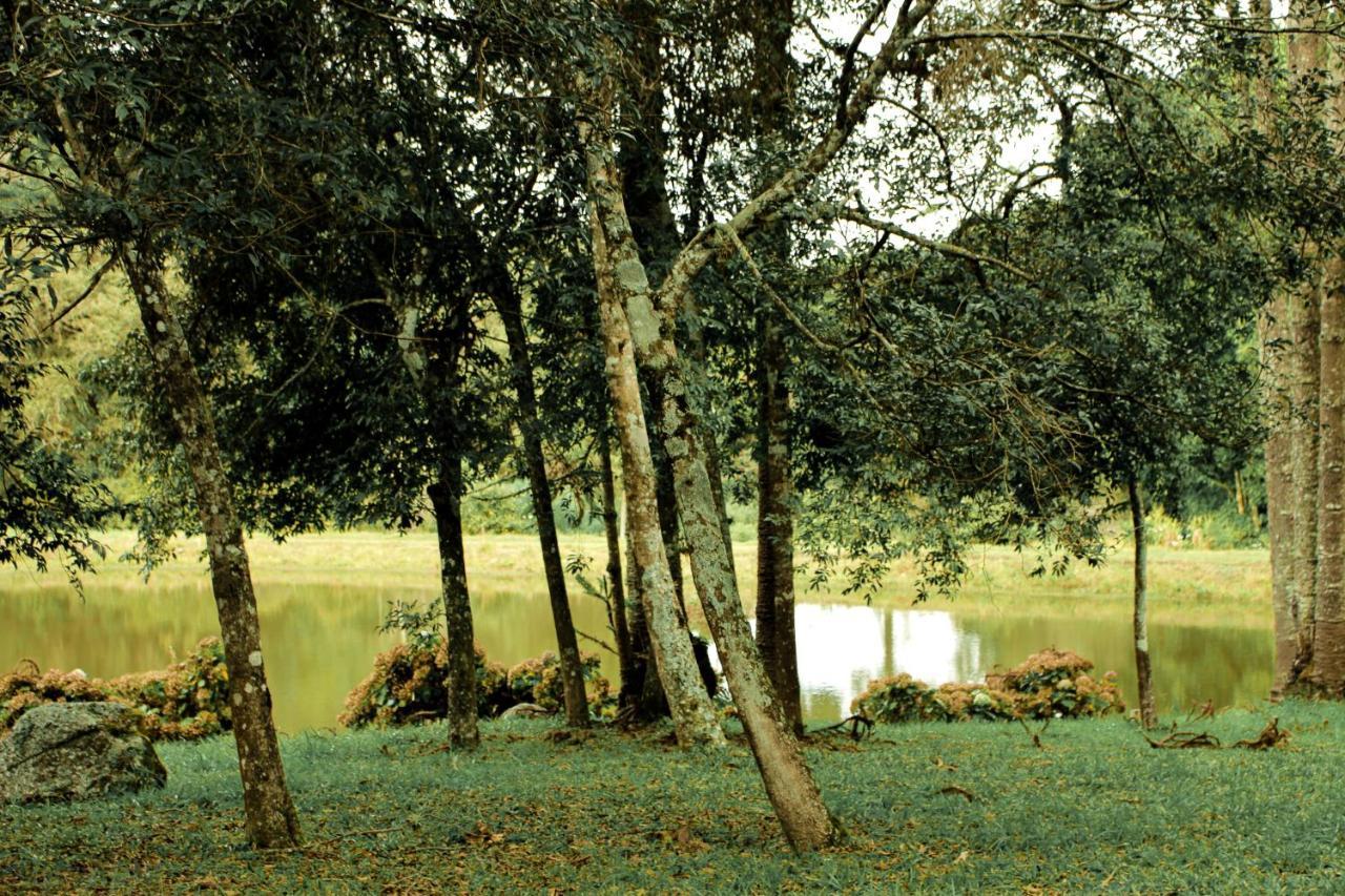 Green Mountains Hotel Monte Verde  Bagian luar foto