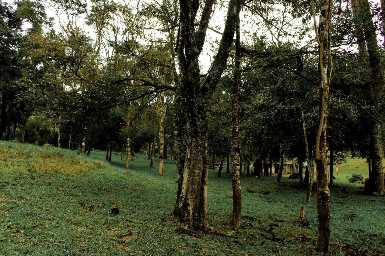 Green Mountains Hotel Monte Verde  Bagian luar foto